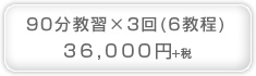 90分教習×3回(6教科)38,000円