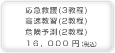 応急救護・高速教習・危険予測