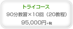 トライコース